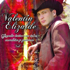 Resultado de imagen para valentin elizalde Grandes Exitos Con Tuba, Acordeon Y Guitarra Vol 1