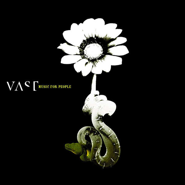 My TV And You — VAST