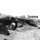 Loess-Chariv Canopy