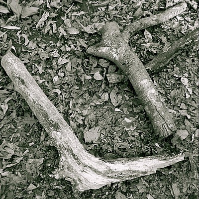 Driftwood, Vol. 1 - EP