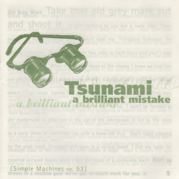 A Brilliant Mistake cover