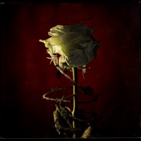 Whatever It May Take - Heaven Shall Burn