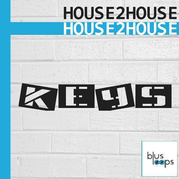 D HOUSE 2