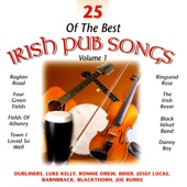 25 of the Best Irish Pub Songs - Volume 1 artwork