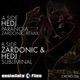 Subliminal Paranoia Remix Single