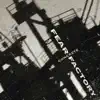 Fear Factory - Ulceration