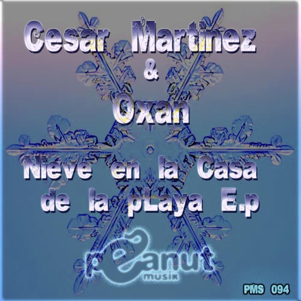 Nieve en la casa de la playa - Single