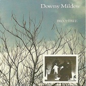 Downy Mildew - Purple Parlor