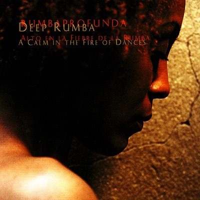 Alto en la Fiebre de la Rumba / A Calm In the Fire of Dances