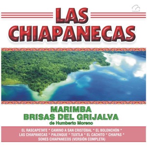 Las Chiapanecas