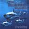 The Calling - Aquarium Rescue Unit lyrics