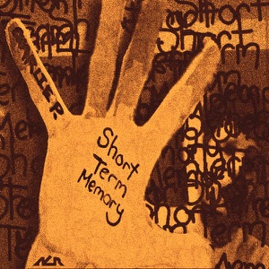 Short Term Memory - Single