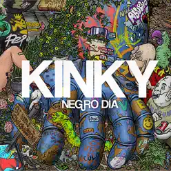 Negro Día (feat. Mala Rodríguez) - Single - Kinky