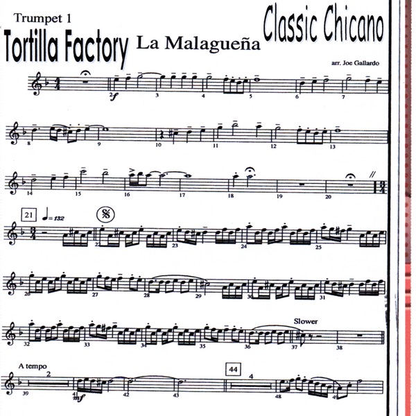 Classic Chicano