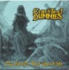 The Bereft Mans Song