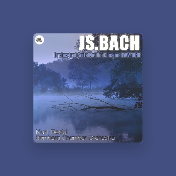 Bamberg Chamber Orchestra's avatar