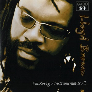 I'm Sorry/Instrumental Is All - Single