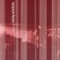 Argo Night Shuttle - Malory lyrics