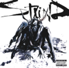 Staind - Something to Remind You artwork