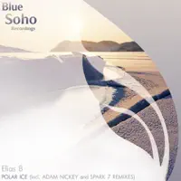 Polar ice (Adam Nickey remix) — Elias B