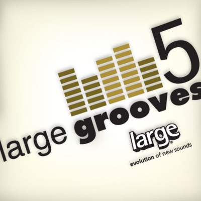 Large Grooves, Vol. 5