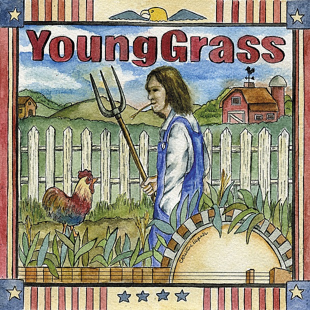 Young Grass