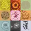 The Archons