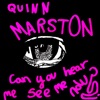 Quinn Marston