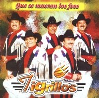 Que Se Mueran los Feos - Los Tigrillos
