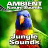 Ambient Nature Sounds - Whistling and Chattering Jungle Background With Insects