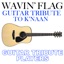 Wavin' Flag (Guitar Tribute to K'naan)