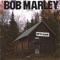 Fat, Dumb and Happy Birthday - Comedian Bob Marley lyrics