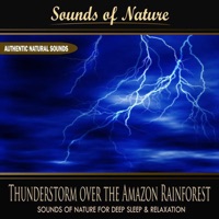 Sounds of Nature for Deep Sleep and Relaxation - Thunderstorm Over the Amazon Rainforest (Nature Sounds)