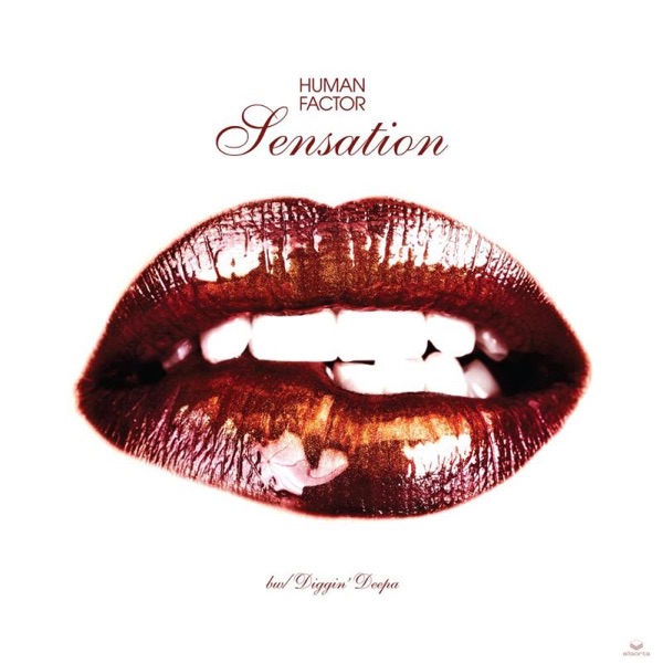 Sensation - Single