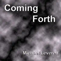 Southern Flights — Michael Leverett