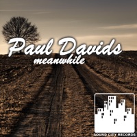 Meanwhile (Original Mix) - Single