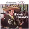 Vicente Fernández - Yo Quiero Saber de Ti