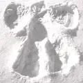 Making Angels