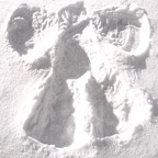 Making Angels