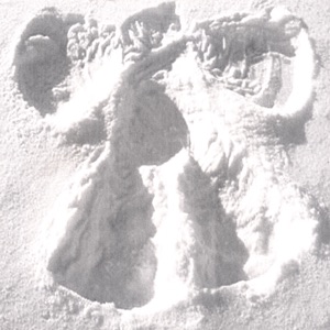 Making Angels