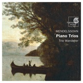 Piano Trio No. 1 in D Minor, Op. 49: I. molto Allegro Agitato artwork