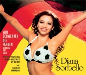 Wir schewenken die fahnen