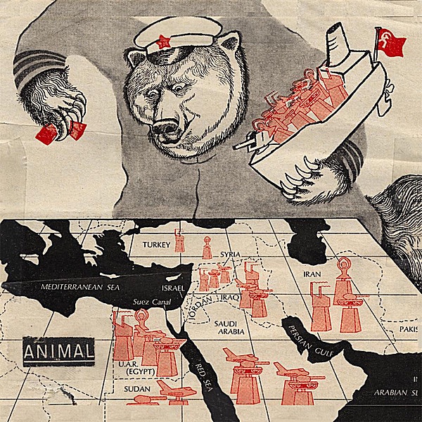 Animal
