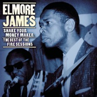 Shake Your Money Maker: The Best of the Fire Sessions (1960-1961) - Elmore James