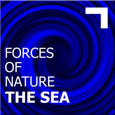 Forces of nature – the sea