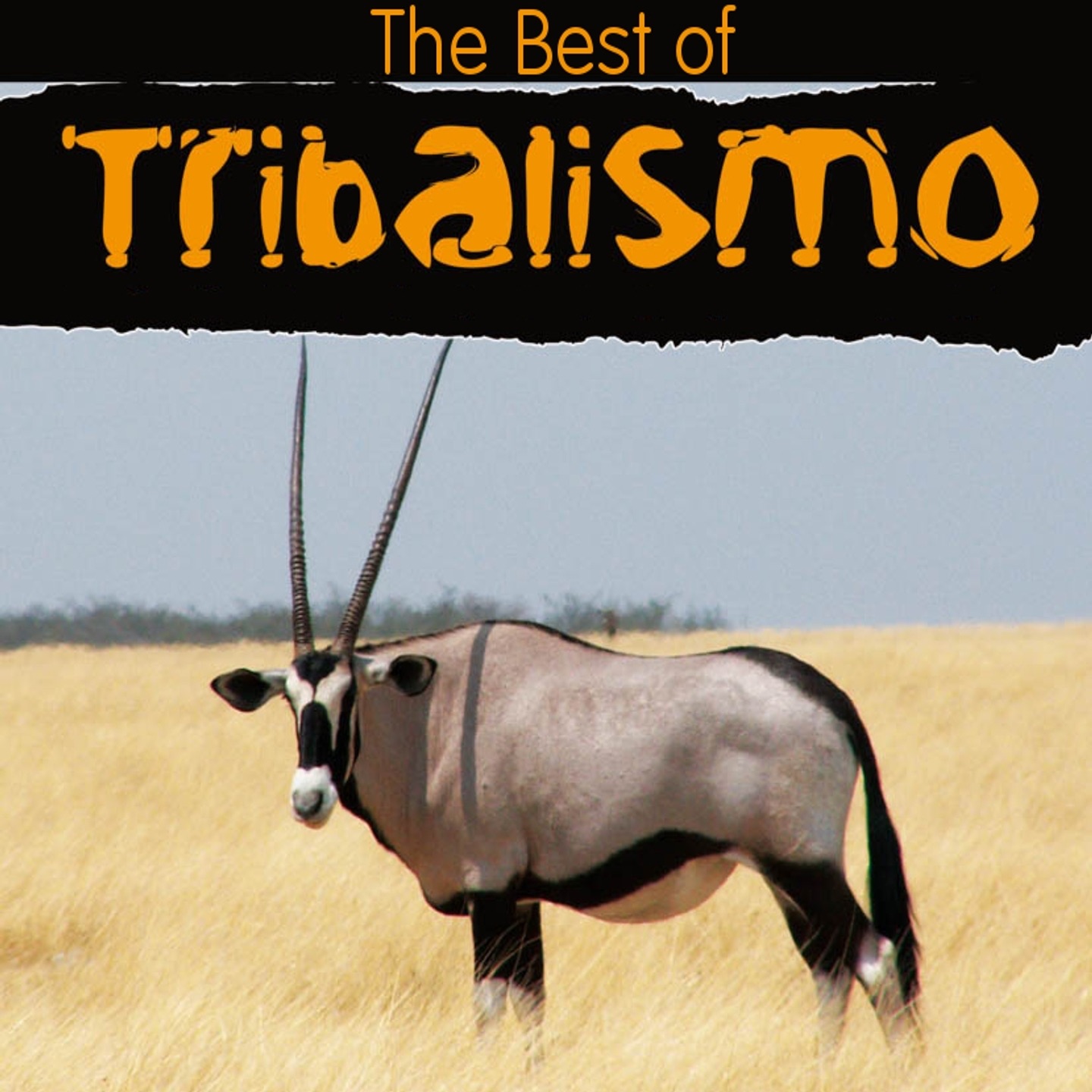 The Best of Tribalismo