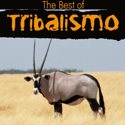 The Best of Tribalismo