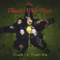 Going Back To Ireland