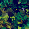 Jungle By Night - Jungle by Night