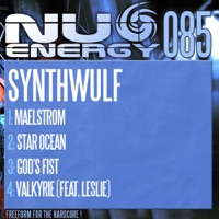 Maelstrom / Star Ocean / God's Fist / Valkyrie - EP - SynthWulf